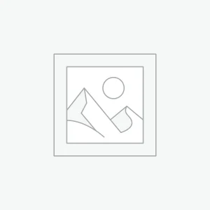 Custom Wheels Gold RTS